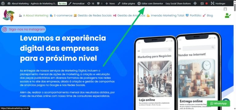 como-editar-uma-pagina-do-meu-site-em-wordpress-com-o-plugin-de-layouts-elementor